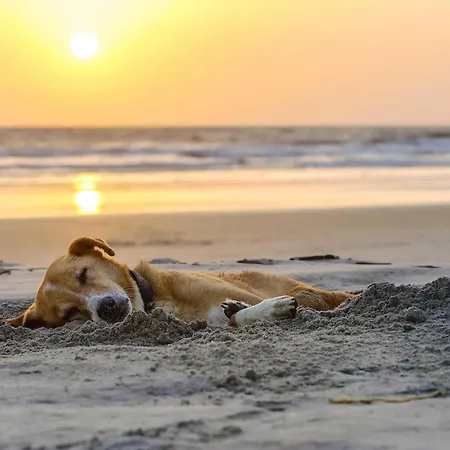 Ostseeschatz - Moderne Im Malerischen Ostseebad * Ostseeheilbad Zingst