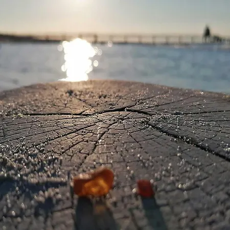 Ostseeschatz - Moderne Im Malerischen Ostseebad Apartment Ostseeheilbad Zingst