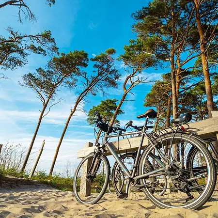 Lägenhet 5-sterne-ferienwohnung Ostseeschatz Inklusive Strandkorb Von Mai - September Zingst