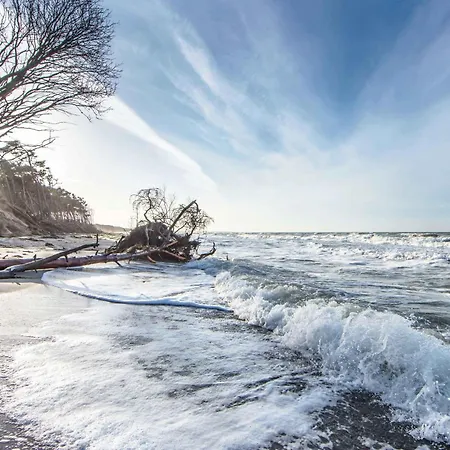 5-sterne-ferienwohnung Ostseeschatz Inklusive Strandkorb Von Mai - September Lägenhet Zingst